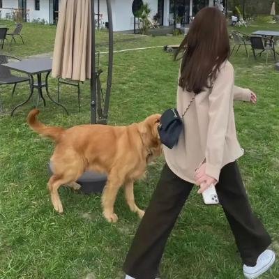 娜塔丽·伍德之谜